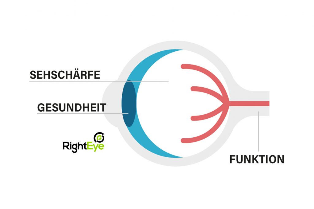 right-eye-funktionales